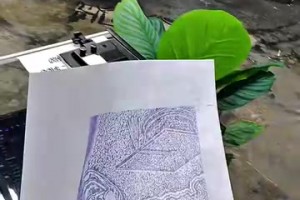 准备蜕变了？卡森华莱士最新满背纹身！